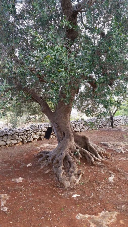 Dimora Il Fico D'India Villa Ostuni Luaran gambar